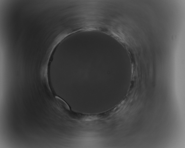 X0000092060099200710031108