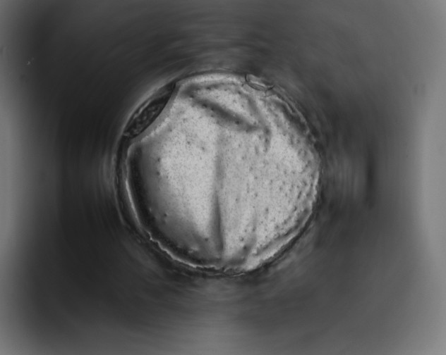 X0000092060100200710031108