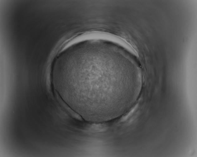 X0000092060101200710031108