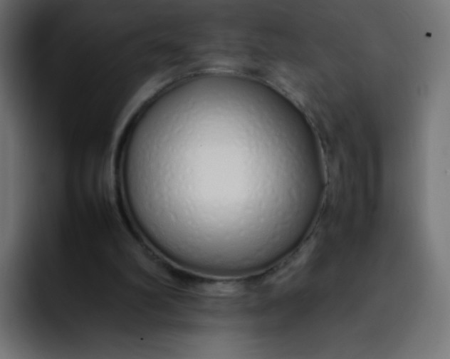 X0000092060102200710031108