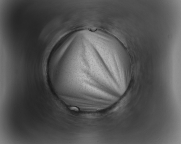 X0000092060103200710031108