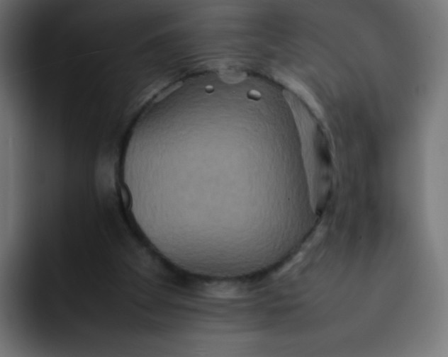 X0000092060105200710031108