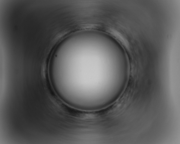 X0000092060107200710031107