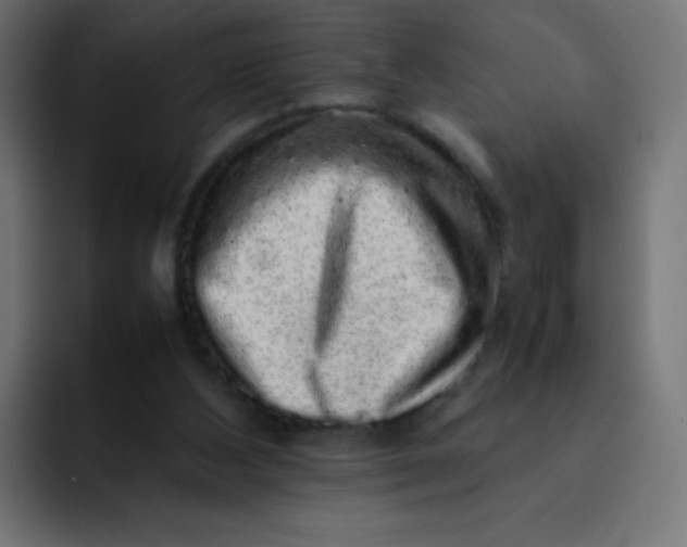 X0000092060108200710031107