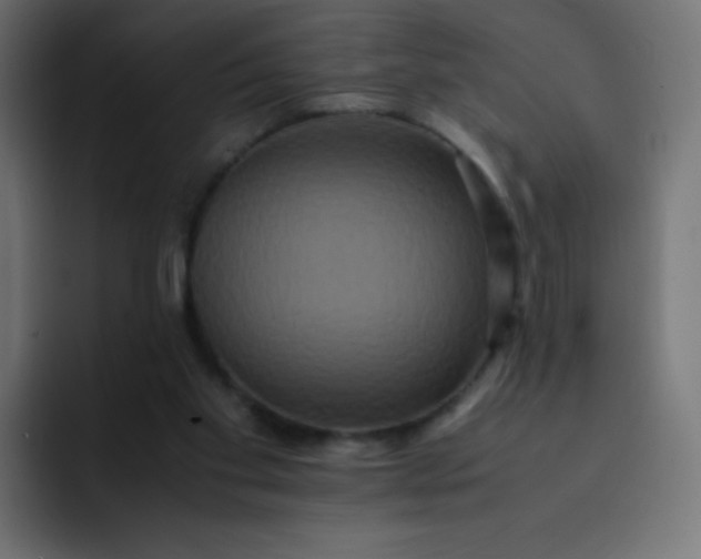 X0000092060109200710031107