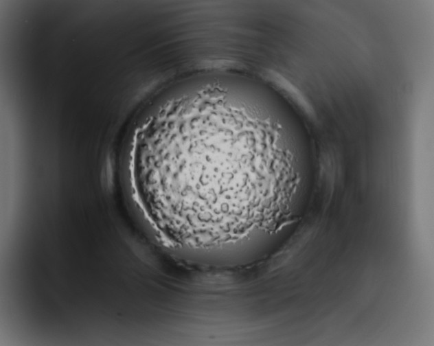 X0000092060110200710031107