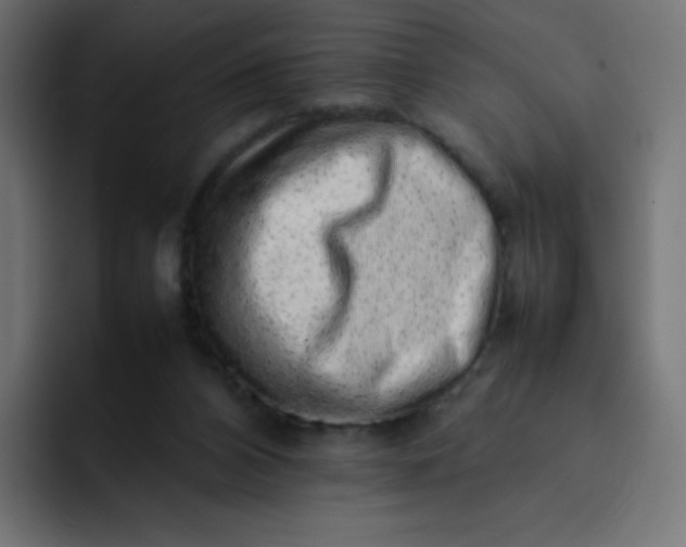 X0000092060112200710031107