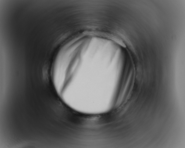 X0000092060116200710031107