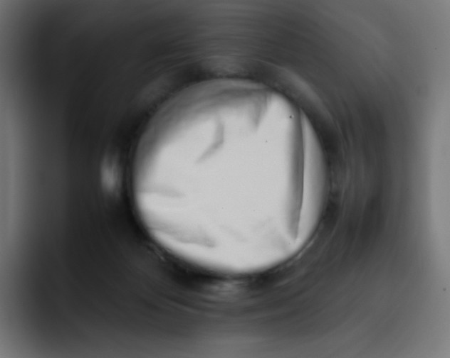 X0000092060124200710031107