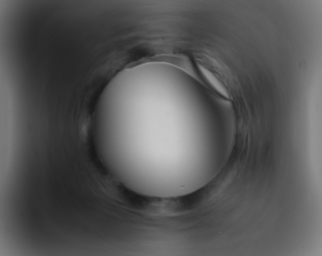 X0000092060125200710031107