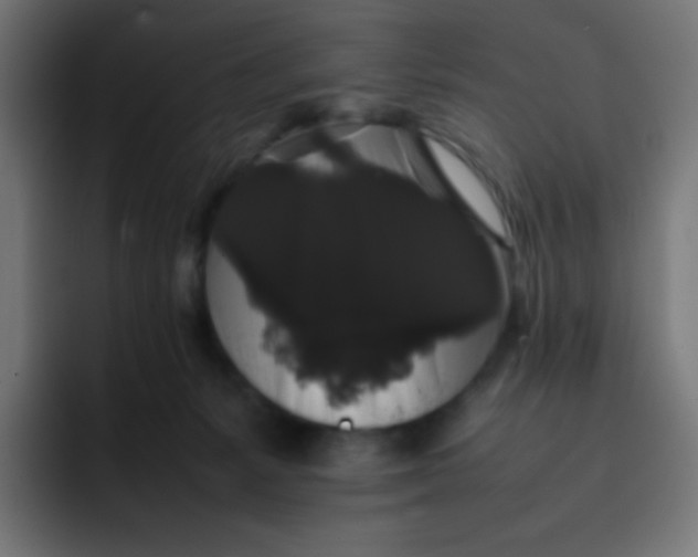 X0000092060127200710031107