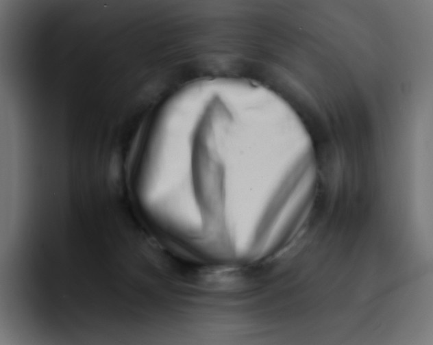 X0000092060132200710031107