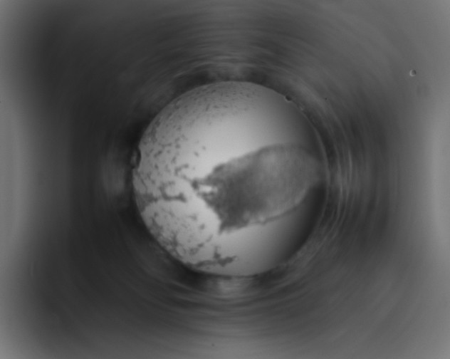 X0000092060134200710031107