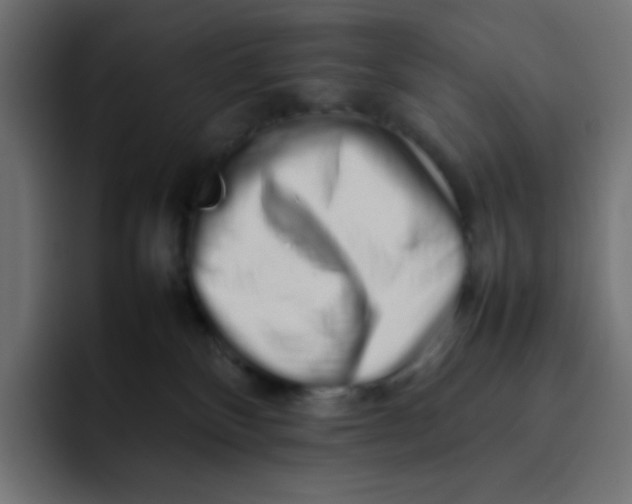 X0000092060136200710031107