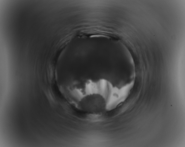 X0000092060139200710031107