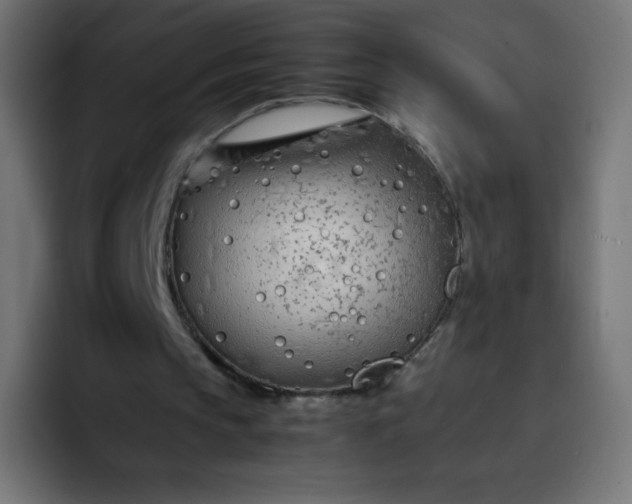 X0000092060145200710031106