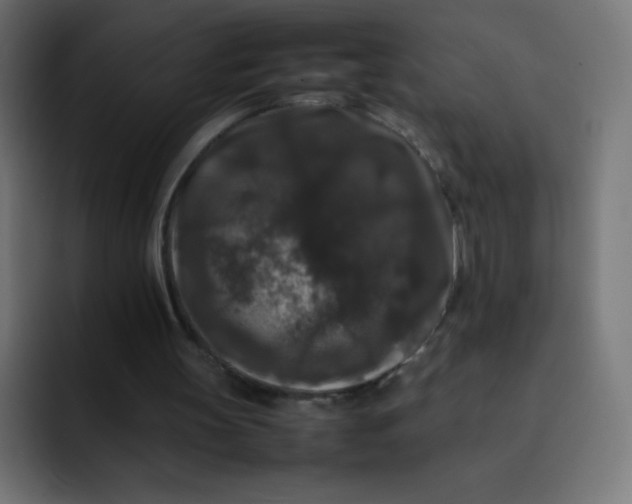 X0000092060147200710031107