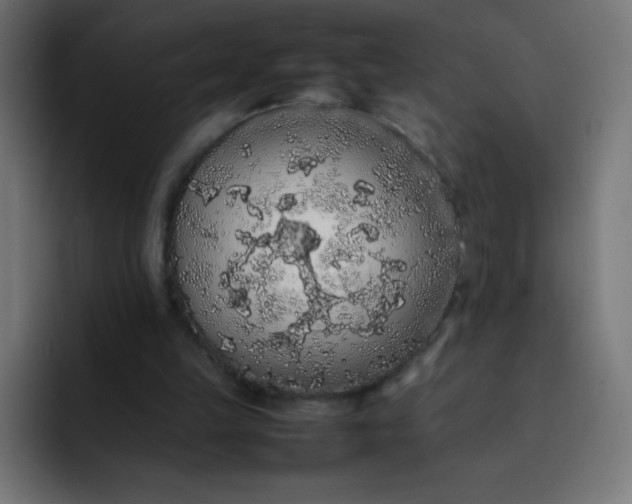 X0000092060149200710031107