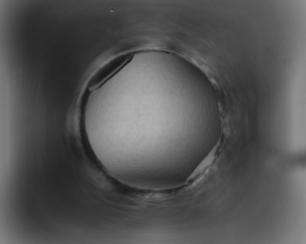 X0000092060152200710031107