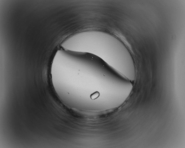 X0000092060154200710031107