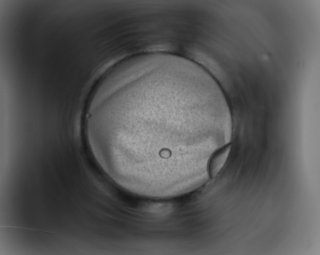 X0000092060155200710031107