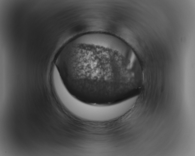 X0000092060156200710031107