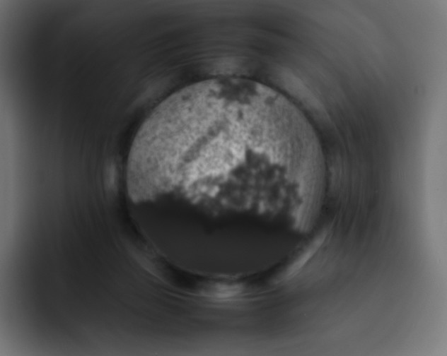 X0000092060165200710031107