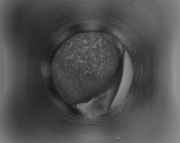 X0000092060168200710031107