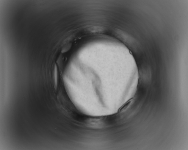 X0000092060170200710031107