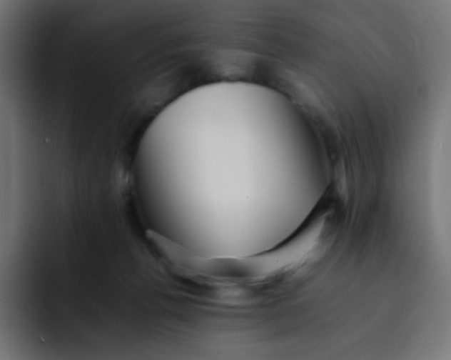 X0000092060176200710031107