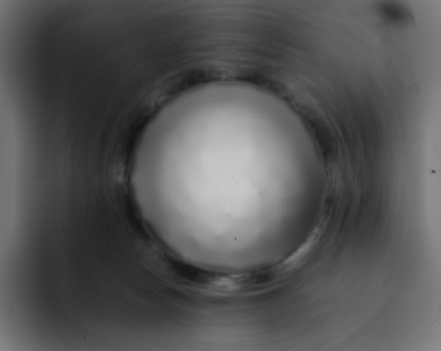 X0000092060178200710031107