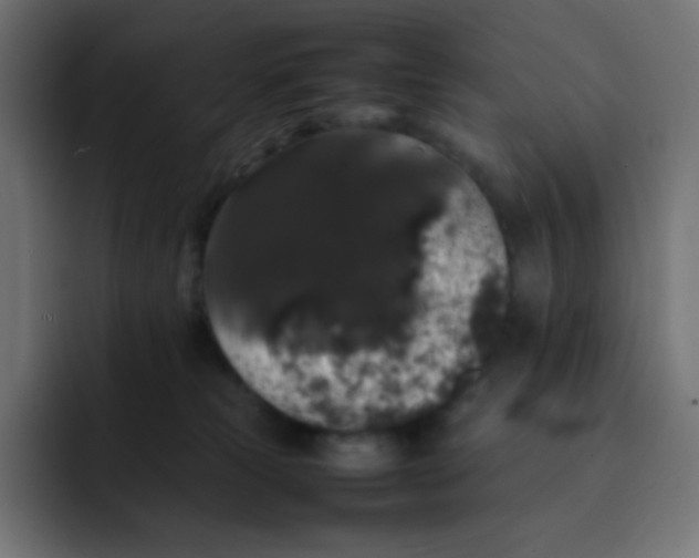 X0000092060181200710031107