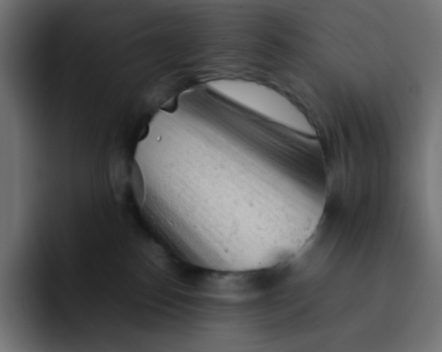 X0000092060186200710031107