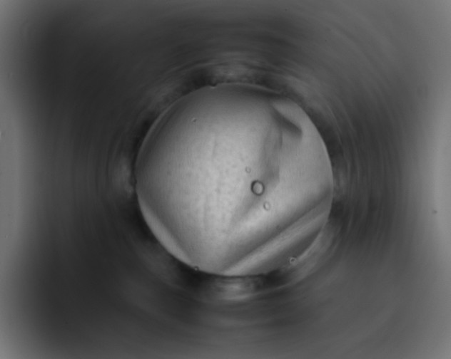 X0000092060187200710031107