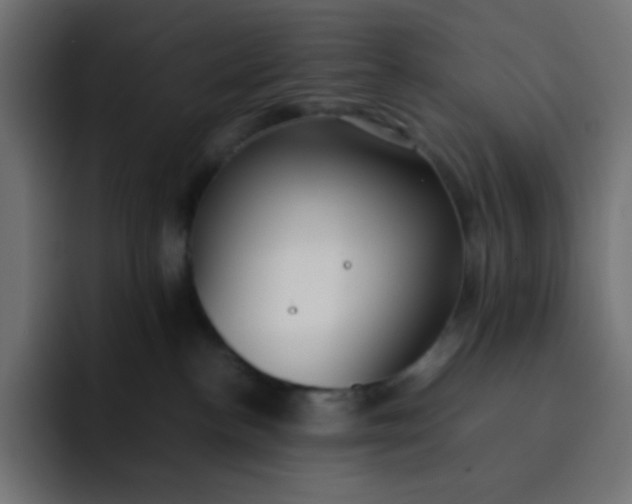 X0000092060188200710031107