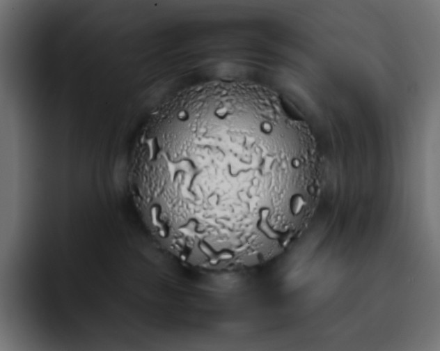 X0000092060189200710031107