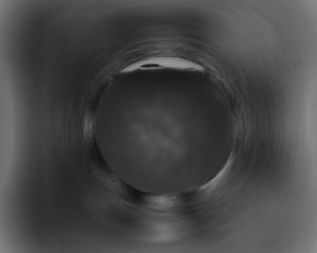 X0000092060191200710031107