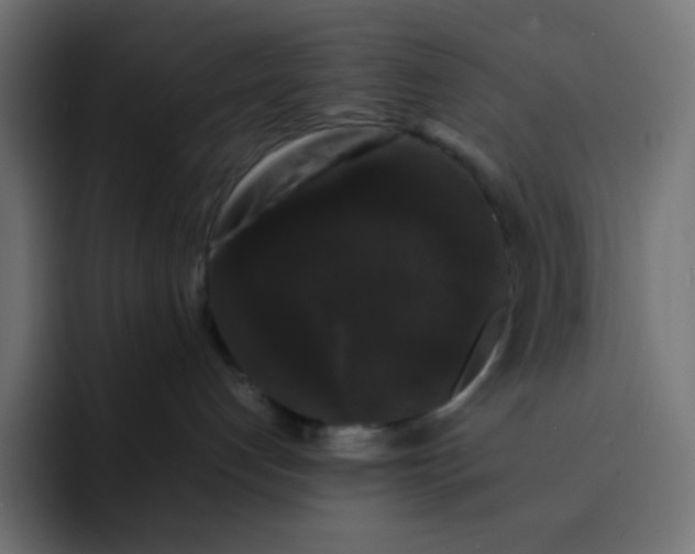 X0000092060192200710031107