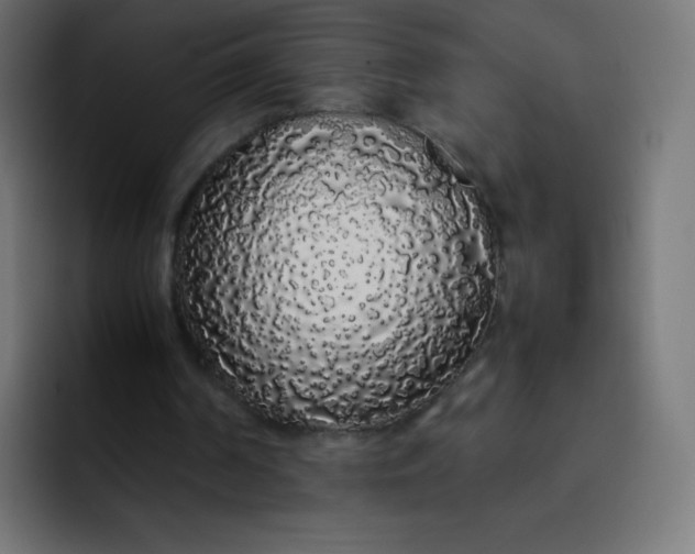 X0000092060194200710031106