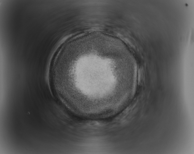 X0000092060195200710031106