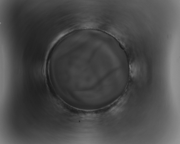 X0000092060196200710031106