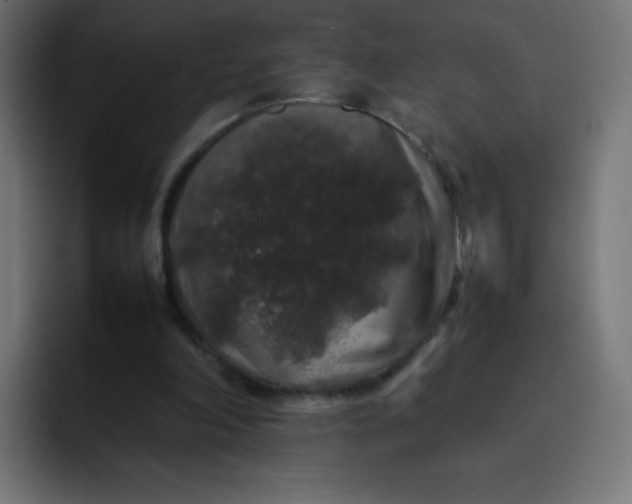 X0000092060198200710031106