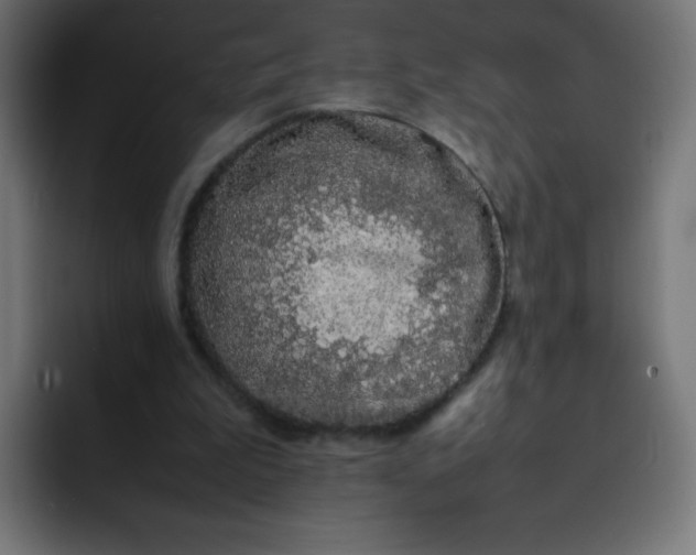 X0000092060199200710031106