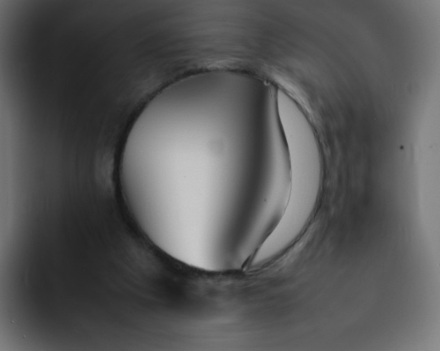 X0000092060201200710031106