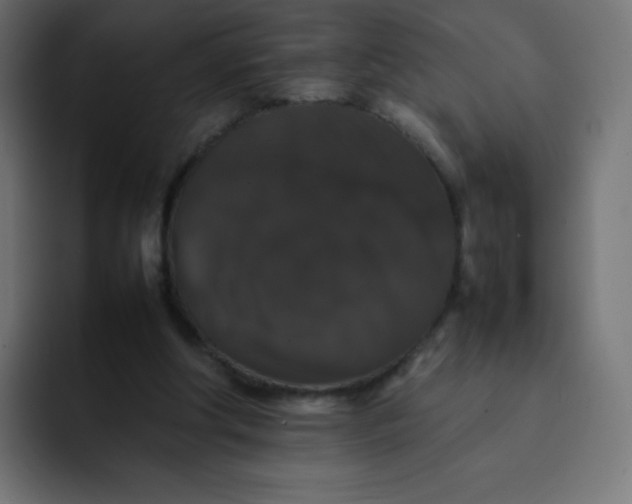 X0000092060202200710031106