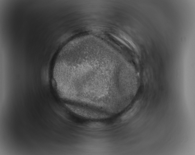 X0000092060203200710031106