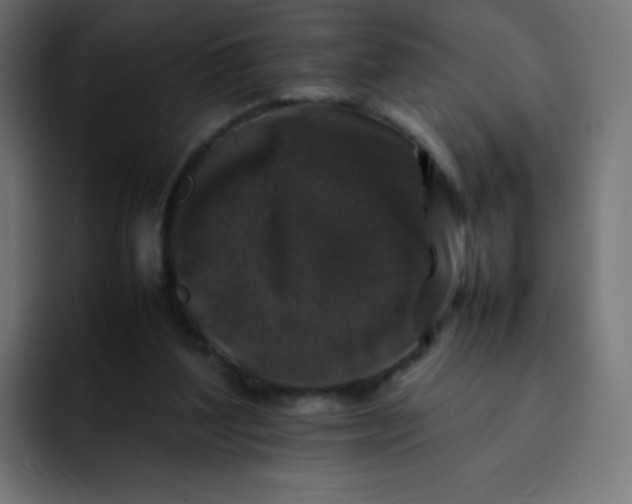 X0000092060204200710031106