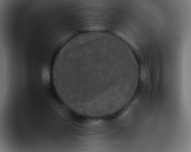 X0000092060206200710031106