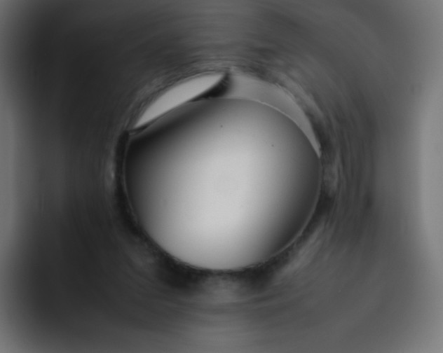 X0000092060207200710031106