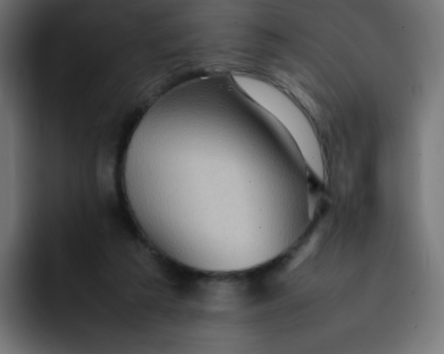 X0000092060209200710031106